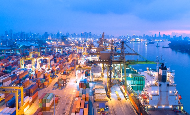 What is the Primary Function of an International Freight Forwarder?